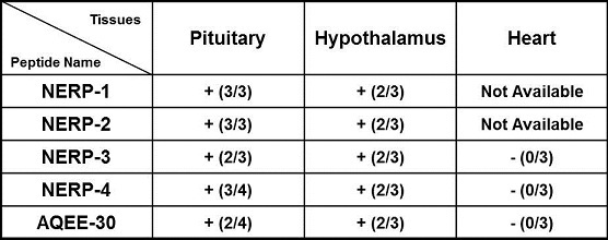 NERP-3 NERP-4 Calcium Mobilization Using Tissues Mice